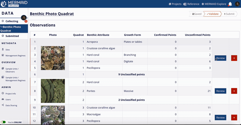 GIF showing how to access the image review interface from the Observations table.