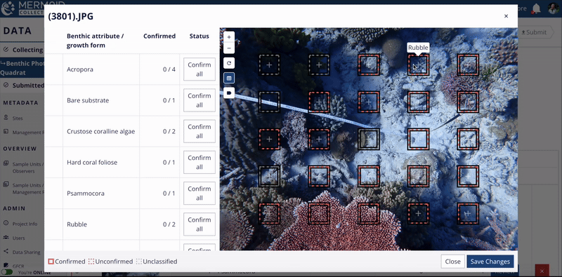 GIF showing how to confirm and edit model-predicted benthic attributes at each point.