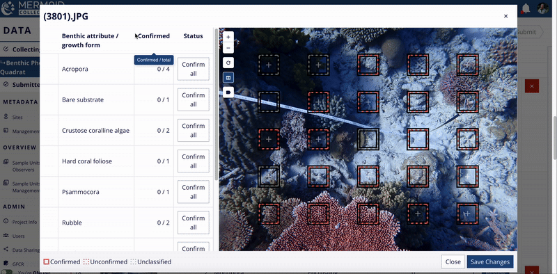 GIF showing hovering over a benthic attribute highlights corresponding points.