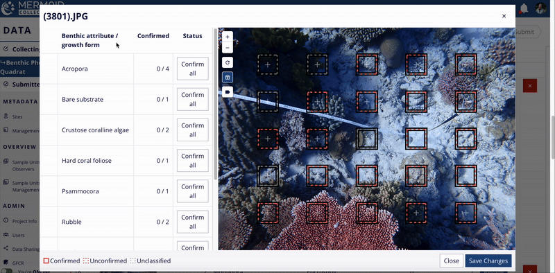 GIF showing points highlighted in white after clicking the benthic attribute row.